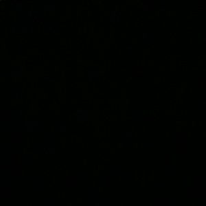 Meet your Posher, Tom